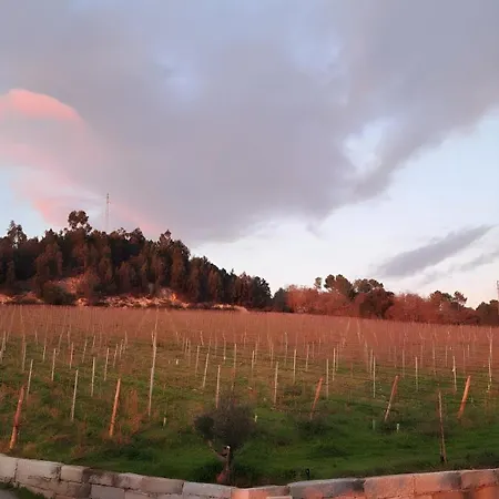 Canhoto Douro
