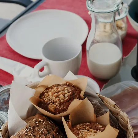 Canhoto Douro 홈스테이