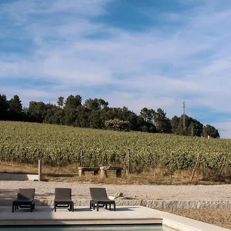 홈스테이 Canhoto Douro