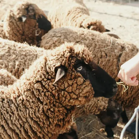 Canhoto Douro Проживание в семье *