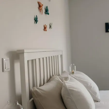 Homestay szállás Canhoto Douro São Lourenço do Douro