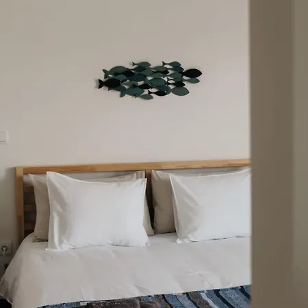 Homestay Canhoto Douro *