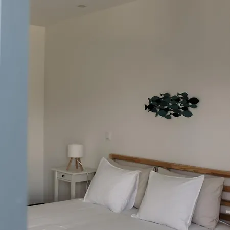 Canhoto Douro 홈스테이