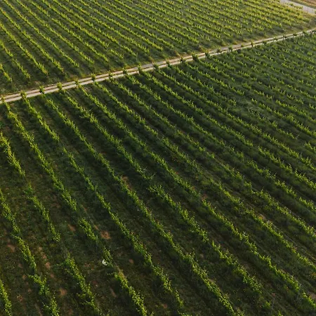 Homestay Canhoto Douro Marco de Canaveses