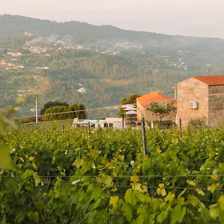 Canhoto Douro * Marco de Canaveses