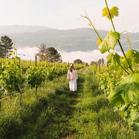 Homestay Canhoto Douro