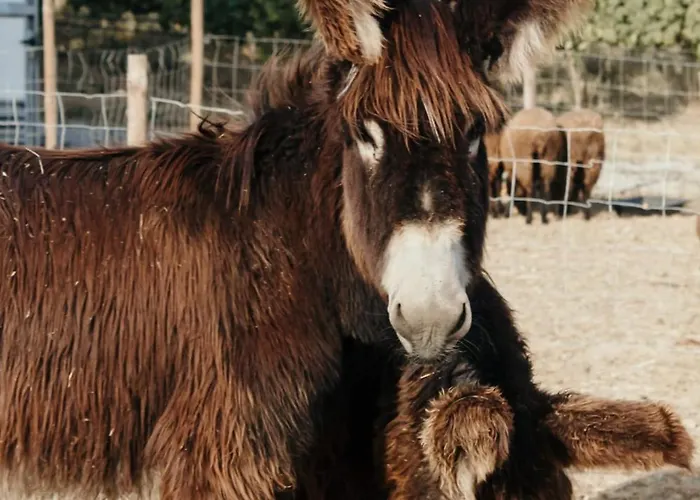 Habitación en casa particular Canhoto Douro