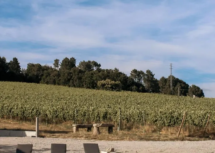 Séjour chez l'habitant Canhoto Douro