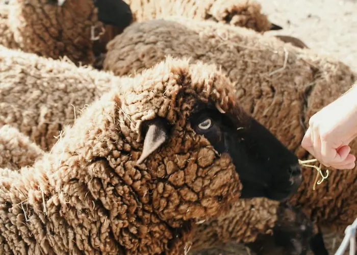 Canhoto Douro Habitación en casa particular *