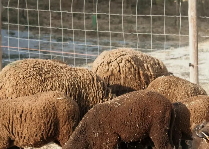 Canhoto Douro * São Lourenço do Douro