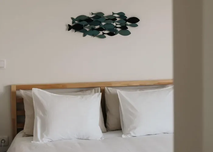 Homestay Canhoto Douro *